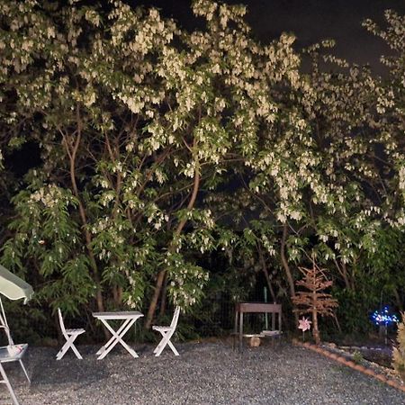 Cabana Oprisor Ocna Sibiului Dış mekan fotoğraf