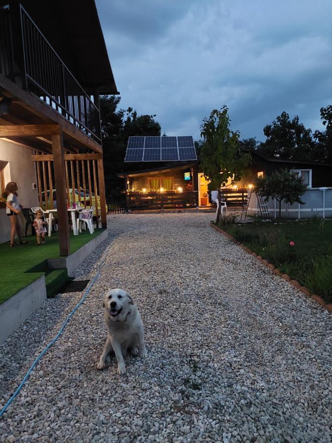 Cabana Oprisor Ocna Sibiului Dış mekan fotoğraf